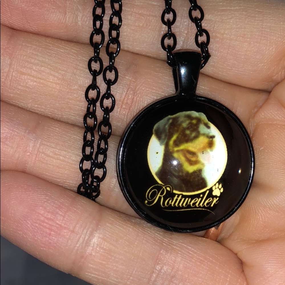 Rottweiler Love🐾❤️🤑